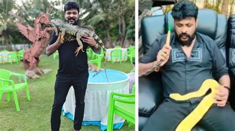 Forest officials recover exotic animals from farmhouse of casino owner.